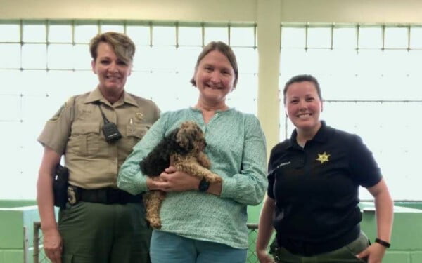 Cachorro é reencontrado sete anos depois, a milhares de quilômetros cachorro-e-reencontrado-sete-anos-depois-a-quilometros