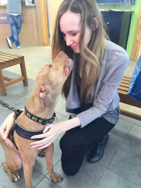 Cachorro em abrigo prova que ele é um bom menino e faz a sua cama todos os dias cachorro-em-abrigo-faz-a-cama-todos-os-dias