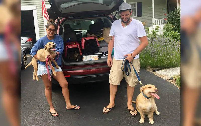 Cachorro encontra gêmeo e convence a família a adotar o irmão cachorro-encontra-gemeo-e-convence-a-familia-a-adotar-o-irmao