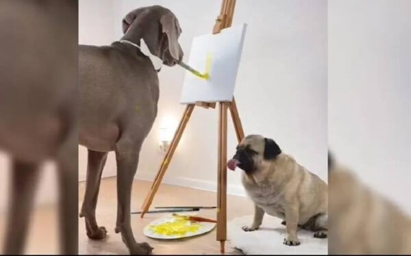 cachorro-pinta-e-revela-grandes-dotes-artisticos