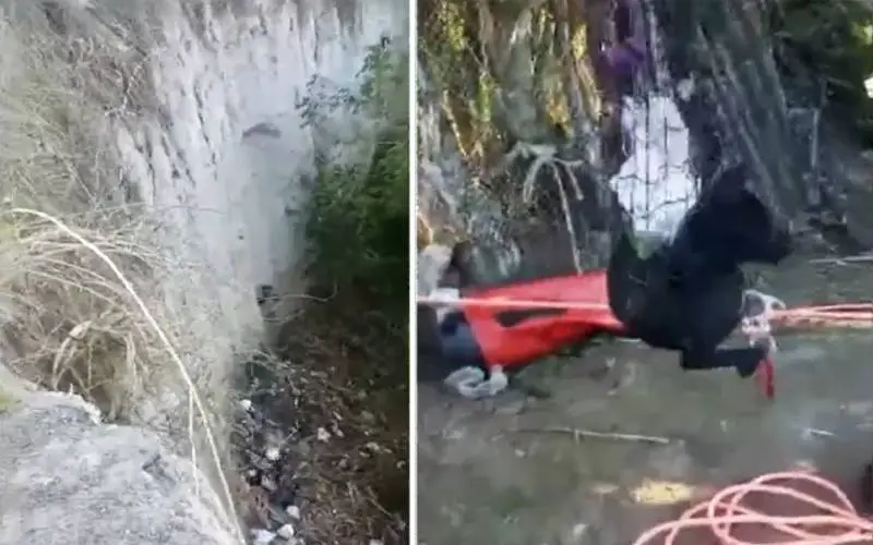 Cachorro preso por 3 meses em área de ribanceira é finalmente resgatado cachorro-que-vivia-em-area-de-ribanceira-e-finalmente-resgatado