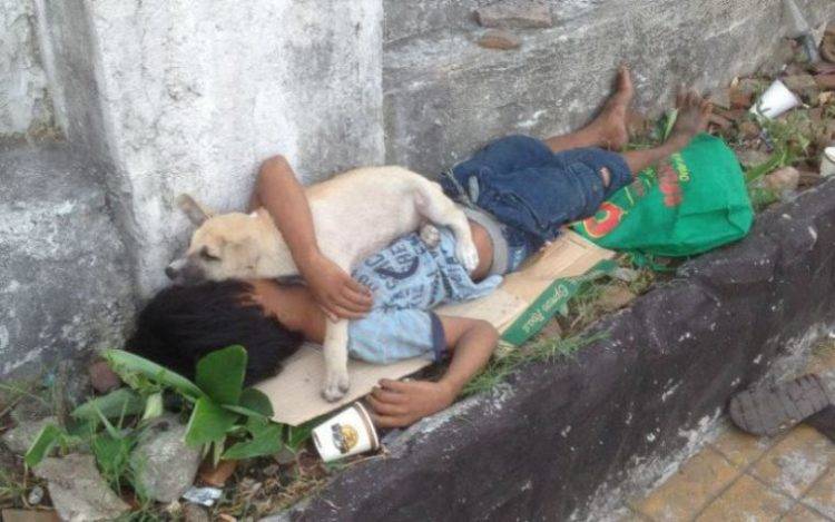 Criança de 11 anos abandonada é protegida por um cachorrinho de rua