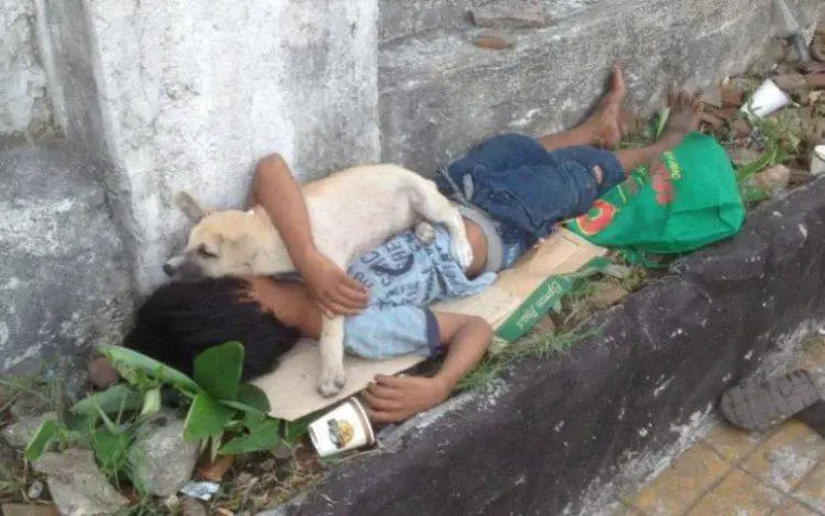Criança de 11 anos abandonada é protegida por um cachorrinho de rua Criança de 11 anos abandonada é protegida por um cachorrinho de rua