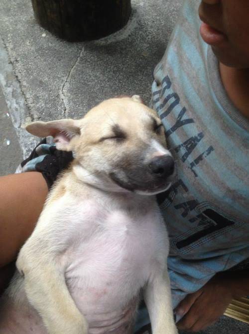 Criança de 11 anos abandonada é protegida por um cachorrinho de rua Criança de 11 anos abandonada é protegida por um cachorrinho de rua