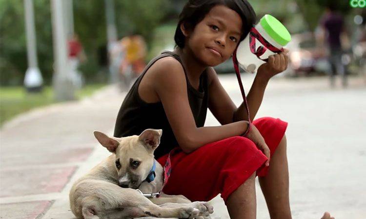 Criança de 11 anos abandonada é protegida por um cachorrinho de rua Criança de 11 anos abandonada é protegida por um cachorrinho de rua