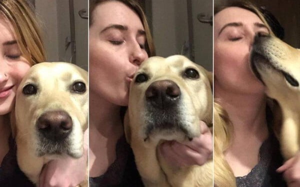Estudante 'nunca se sentiu tão feliz' ao se reunir novamente com seu cão-guia depois de meses de separação estudante-reune-cao-guia-depois-de-meses