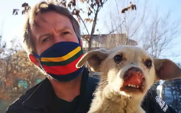 Ex-soldado inglês retira 200 animais do Afeganistão Ex-soldado inglês retira 200 animais do Afeganistão