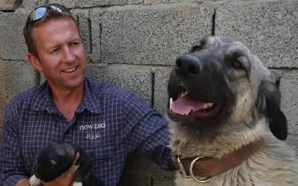 Ex-soldado inglês retira 200 animais do Afeganistão Ex-soldado inglês retira 200 animais do Afeganistão