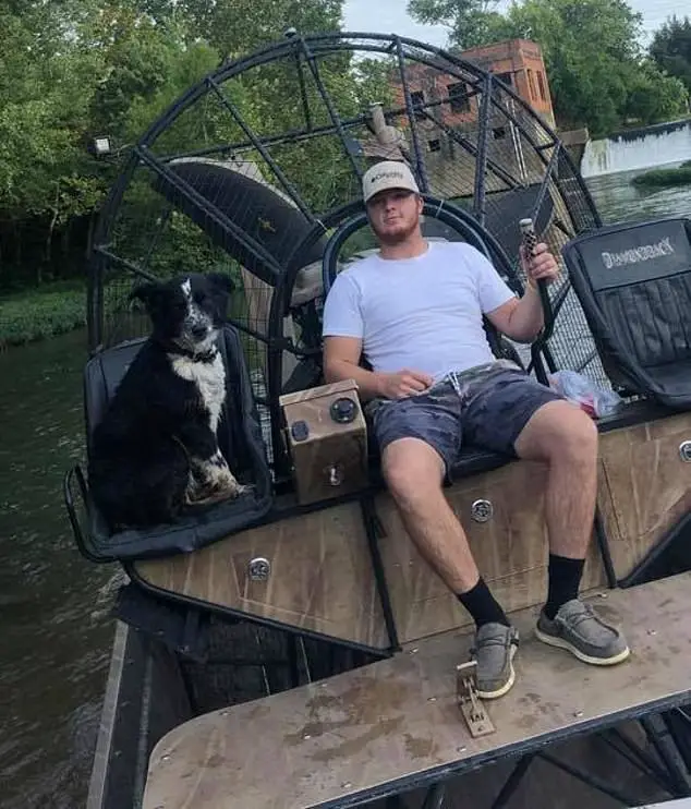 Foto comovente mostra cachorro deitado no túmulo do seu amigo humano Foto comovente mostra cachorro deitado no túmulo do seu amigo humano