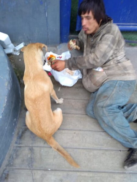 Morador de rua divide sua pouca comida com o seu melhor amigo Morador de rua divide sua pouca comida com o seu melhor amigo