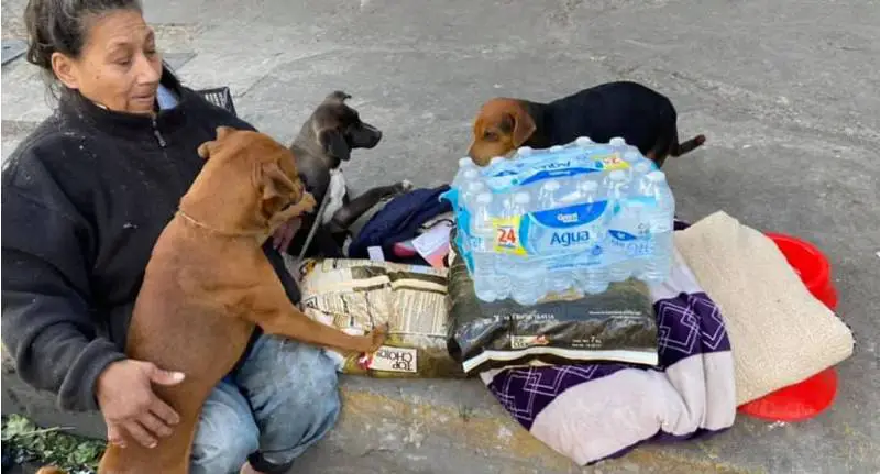 Mulher recusa ir para o abrigo para não se separar dos seus cachorros Mulher recusa ir para o abrigo para não se separar dos seus cachorros