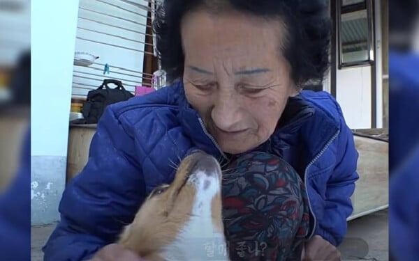 Idosa resgata cachorro deficiente abandonado no lixão e muda sua vida Idosa resgata cachorro deficiente abandonado no lixão e muda sua vida