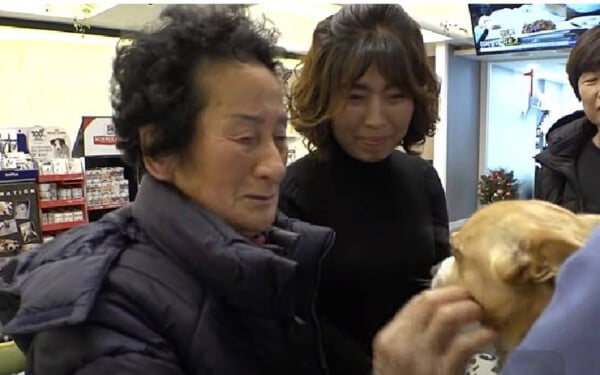 Idosa resgata cachorro deficiente abandonado no lixão e muda sua vida Idosa resgata cachorro deficiente abandonado no lixão e muda sua vida