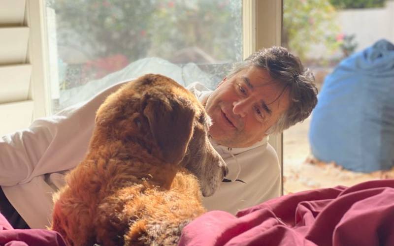 Homem cria cama móvel para cadela idosa aproveitar suas últimas férias