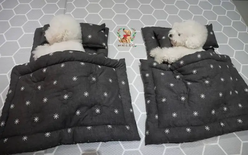 Creche projetada especialmente para cães é absolutamente incrível Creche projetada especialmente para cães é absolutamente incrível