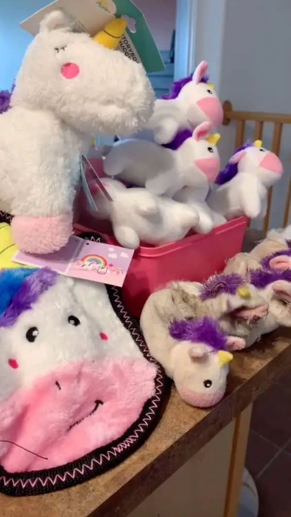 Cachorra apaixonada por unicórnios ganha o melhor presente do mundo Cachorra-apaixonada-por-unicornios-ganha-o-melhor-presente