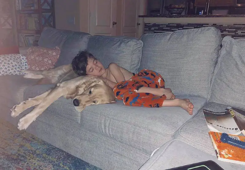 Menino autista não suportava ser tocado até conhecer seu cão de serviço Menino autista não suportava ser tocado até conhecer seu cão de serviço