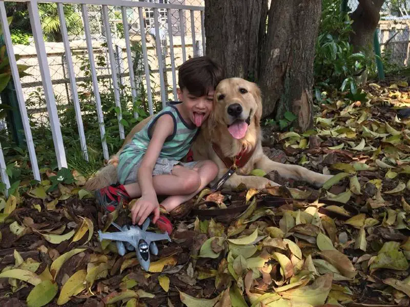 Menino autista não suportava ser tocado até conhecer seu cão de serviço Menino autista não suportava ser tocado até conhecer seu cão de serviço