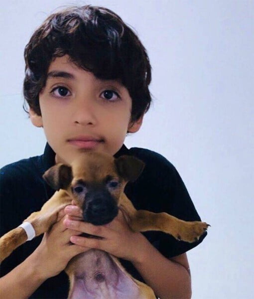Jovem de 18 anos criou abrigo e já resgatou mais de 20 animais adolescente-cria-abrigo-para-animais