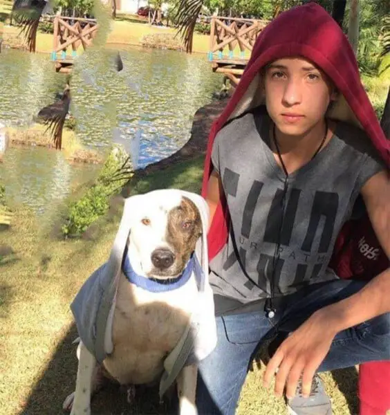 Jovem de 18 anos criou abrigo e já resgatou mais de 20 animais adolescente-cria-abrigo-para-animais