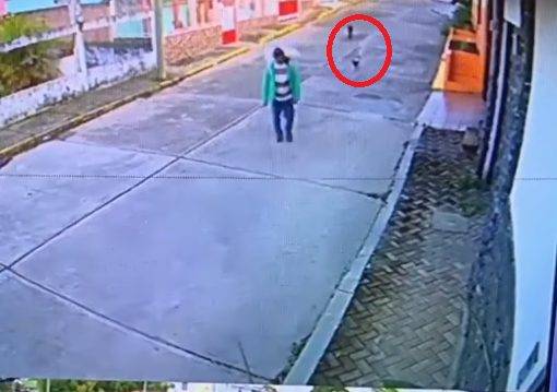 Vendedor ambulante compartilha a sua comida com cães na rua que estavam com fome ambulante-partilha-a-comida-com-caes-de-rua