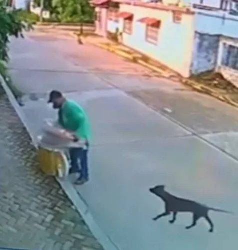 Vendedor ambulante compartilha a sua comida com cães na rua que estavam com fome ambulante-partilha-a-comida-com-caes-de-rua