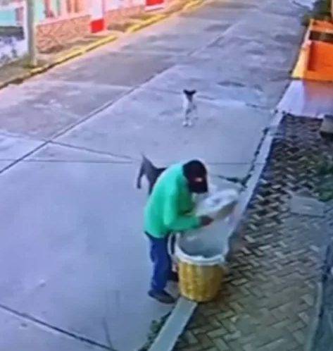 Vendedor ambulante compartilha a sua comida com cães na rua que estavam com fome ambulante-partilha-a-comida-com-caes-de-rua