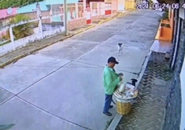 Vendedor ambulante compartilha a sua comida com cães na rua que estavam com fome ambulante-partilha-a-comida-com-caes-de-rua
