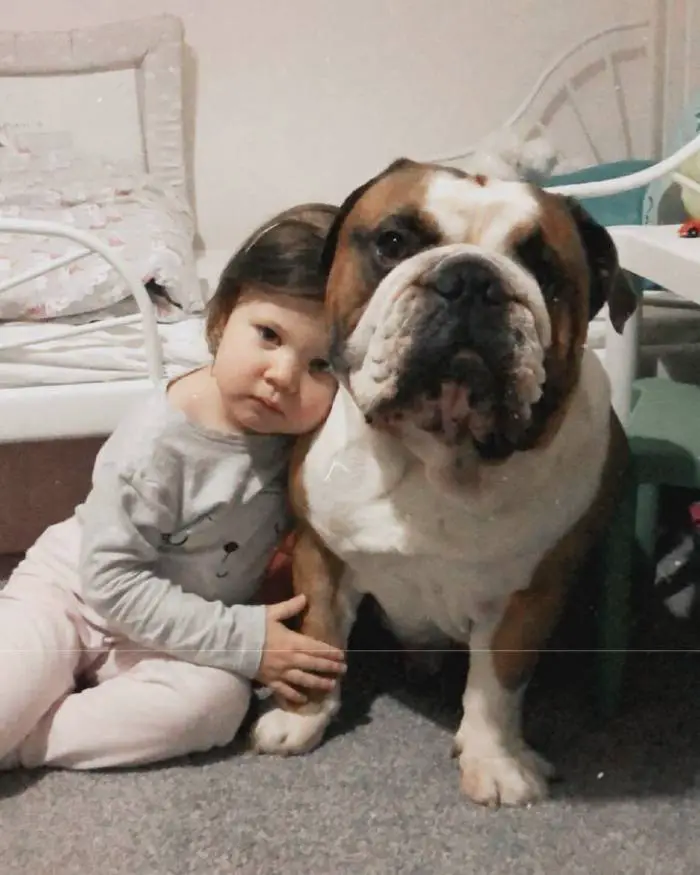 Buldogue se torna o melhor amigo do seu irmãozinho: um bebê humano buldogue-se-torna-o-melhor-amigo-do-seu-irmaozinho