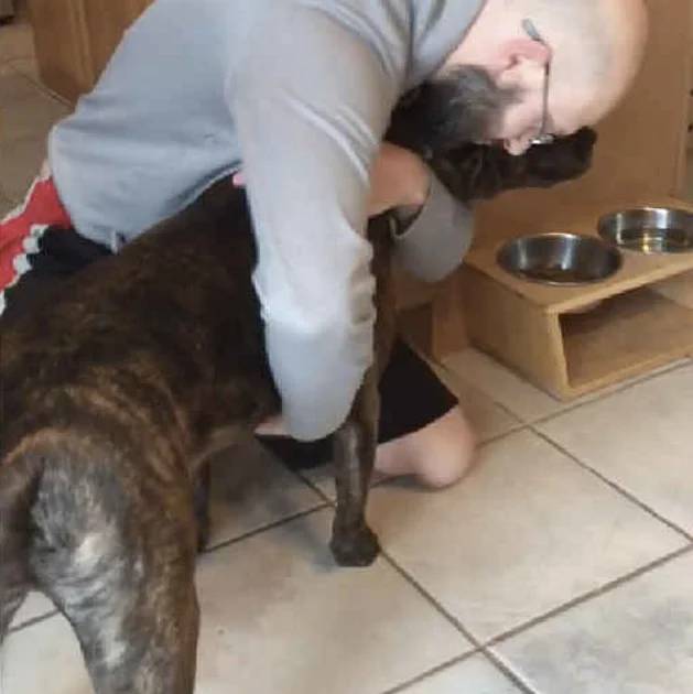 Cachorro adotado não toma o café da manhã sem antes receber um abraço cachorro-adotado-nao-toma-o-cafe-sem-antes-receber-um-abraco