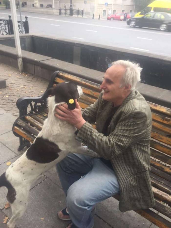 Idoso encontra seu cachorro na rua depois de 3 anos desaparecido