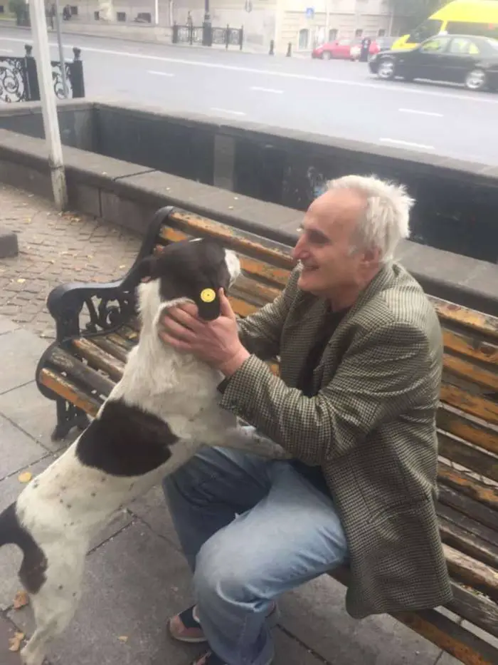 Idoso encontra seu cachorro na rua depois de 3 anos desaparecido Idoso encontra seu cachorro na rua depois de 3 anos desaparecido