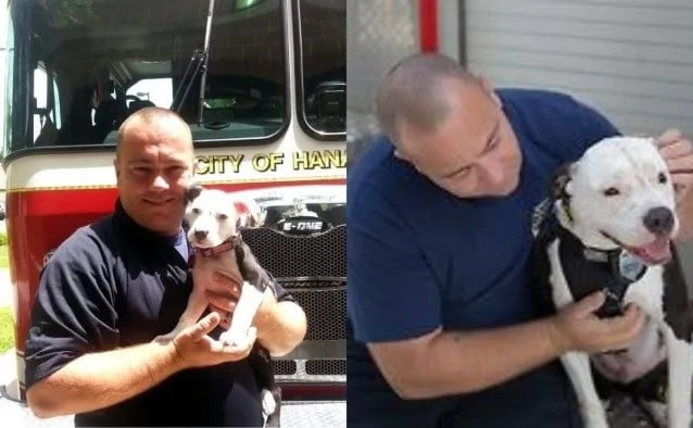 Cachorro resgatado em incêndio se torna mascote do corpo de bombeiros cachorro-resgatado-em-incendio-se-torna-mascote