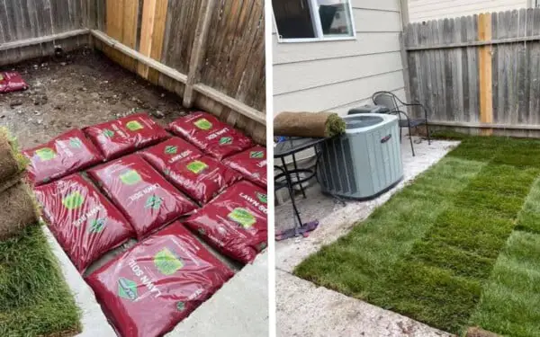 Cão resgatado ganha um quintal de presente da sua mãe cao-resgatado-ganha-um-quintal-de-presente