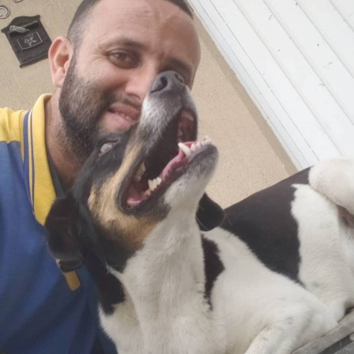 Carteiro tira selfies com todos os animais que encontra no caminho e faz sucesso na internet carteiro-tira-selfies-com-todos-os-animais-que-encontra-no-caminho