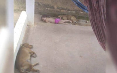 crianca-dorme-com-o-cachorro-e-pais-estranham-o-silencio