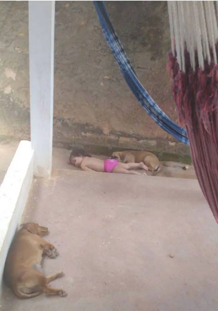 Pais estranham o silêncio e encontram filha dormindo com o cachorro Pais estranham o silêncio e encontram filha dormindo com o cachorro
