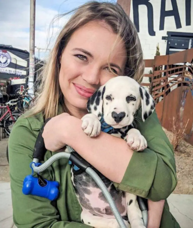 Dálmata faz sucesso na internet com seu focinho em formato de coração dalmata-com-o-coracao-no-focinho