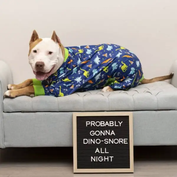 Empresa cria pijamas coloridos para pitbulls para ajudar a combater a má fama da raça empresa-de-Illinois-cria-pijamas-para-pitbulls