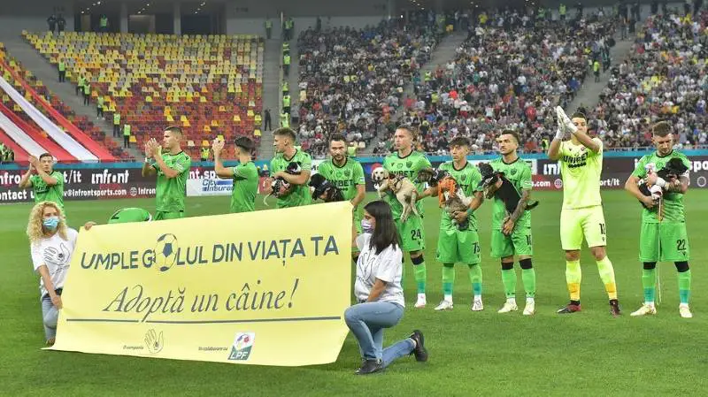 federacao-romena-de-futebol-entra-em-campanha-para-adocao-de-caes