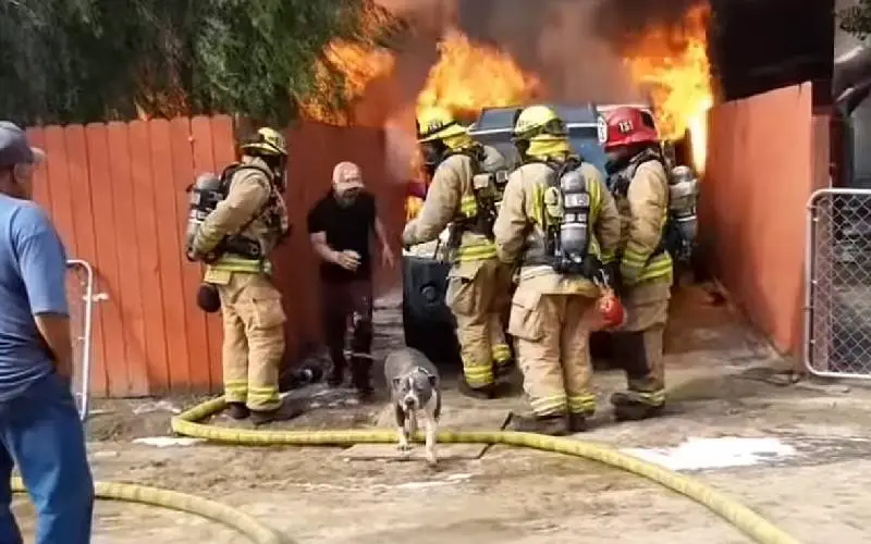 Homem arrisca a vida em incêndio para salvar sua amada cachorra Homem arrisca a vida em incêndio para salvar sua amada cachorra