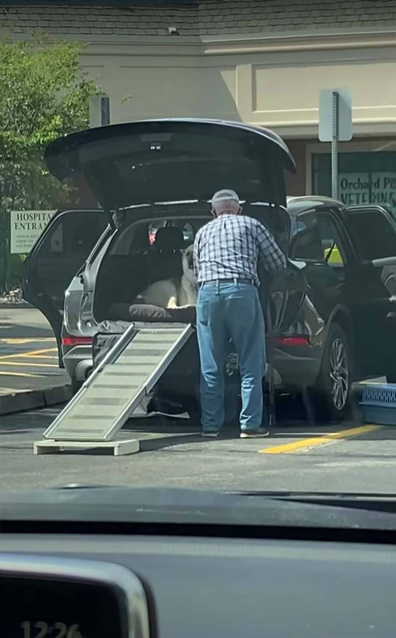 Homem constrói rampa para ajudar seu cachorro idoso a entrar no carro homem-constroi-rampa-para-ajudar-o-cachorro