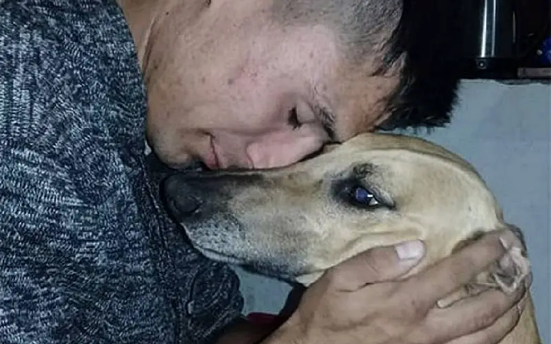 Homem oferece o próprio carro a quem encontrar o cachorro perdido Homem oferece o próprio carro a quem encontrar o cachorro perdido