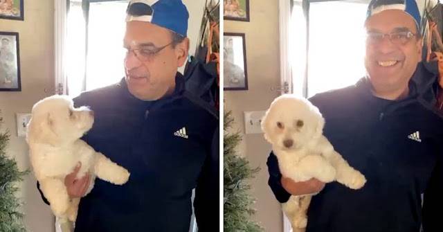 Homem leva cachorro no banho e tosa e volta com o cachorrinho errado homem-volta-para-casa-com-o-cachorro-errado