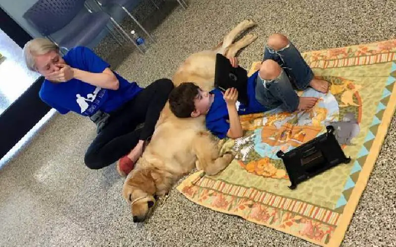 Menino autista não suportava ser tocado até conhecer seu cão de serviço Menino autista não suportava ser tocado até conhecer seu cão de serviço