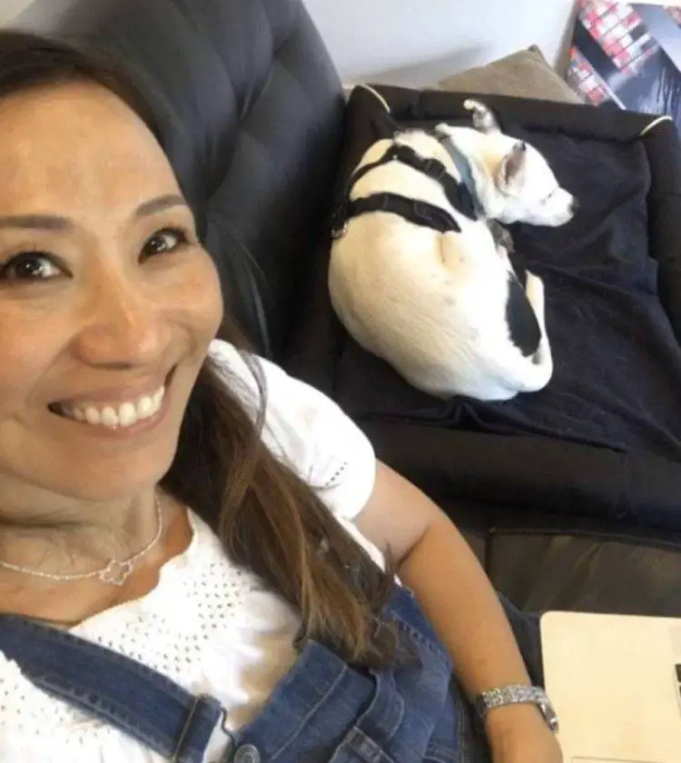 Mulher com medo de cães adota cão com medo de humanos Mulher com medo de cães adota cão com medo de humanos