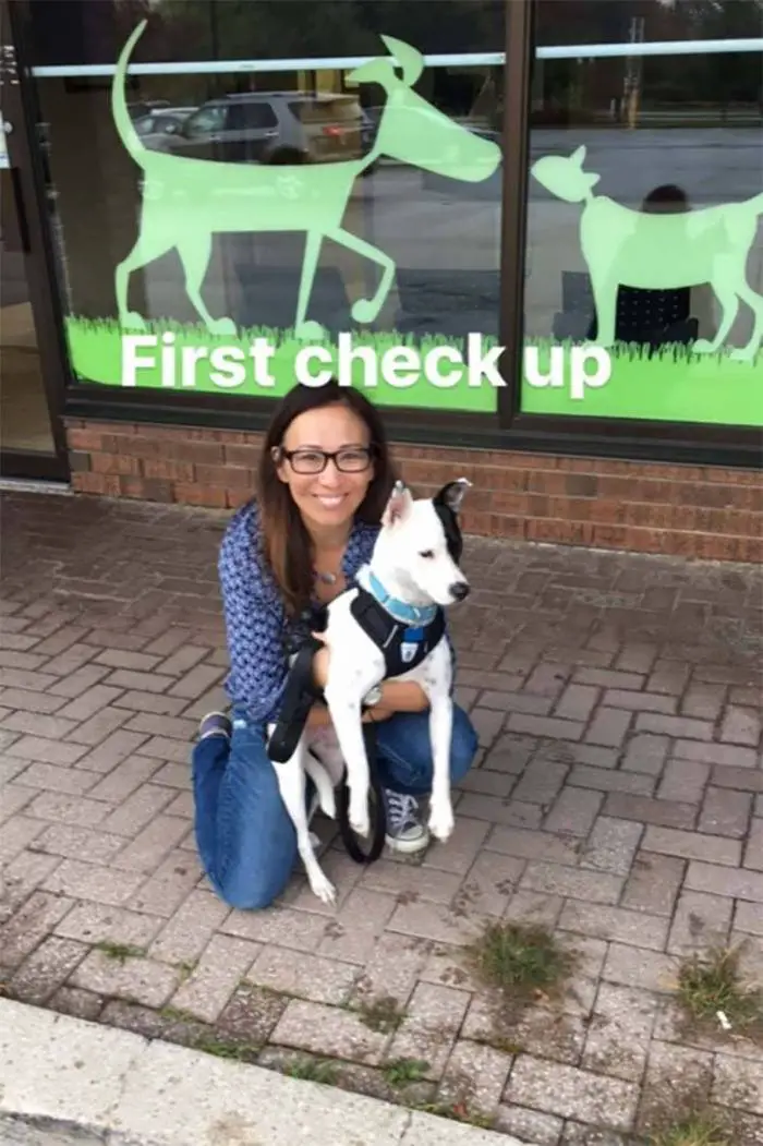 Mulher com medo de cães adota cão com medo de humanos Mulher com medo de cães adota cão com medo de humanos