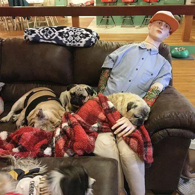 Na ausência do tutor, cachorro se aninha em um manequim na-ausencia-do-tutor-cachorro-se-aninha-em-um-manequim