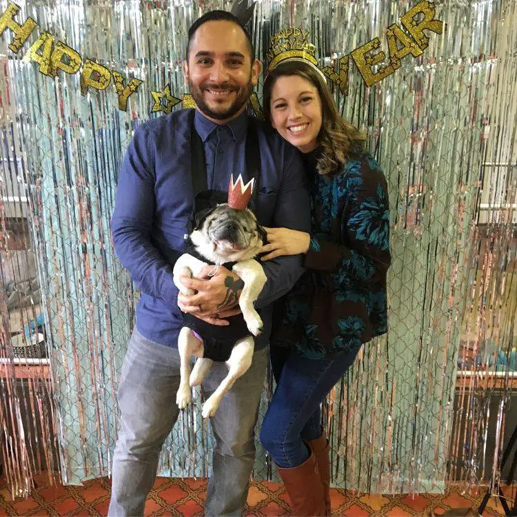 Na ausência do tutor, cachorro se aninha em um manequim na-ausencia-do-tutor-cachorro-se-aninha-em-um-manequim