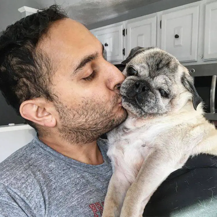 Na ausência do tutor, cachorro se aninha em um manequim na-ausencia-do-tutor-cachorro-se-aninha-em-um-manequim